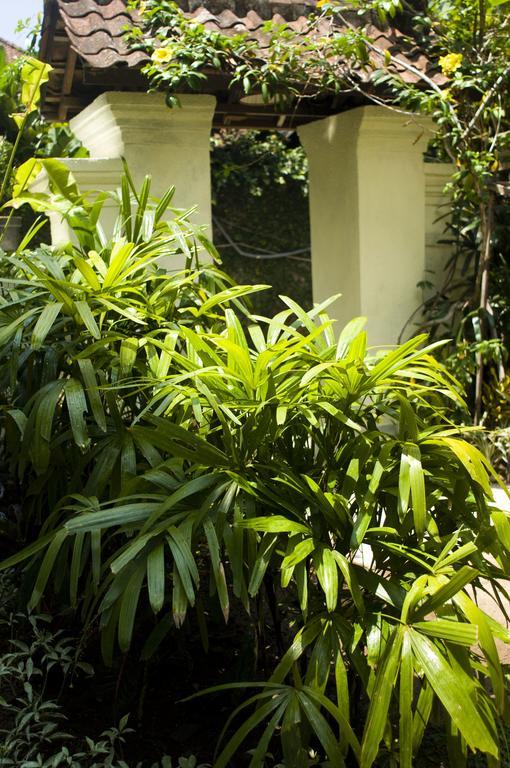 Hotel Nani House 2 Ubud Exterior foto